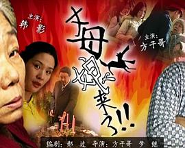 99视频有精品视频高清
